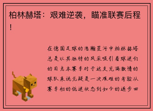 柏林赫塔：艰难逆袭，瞄准联赛后程！